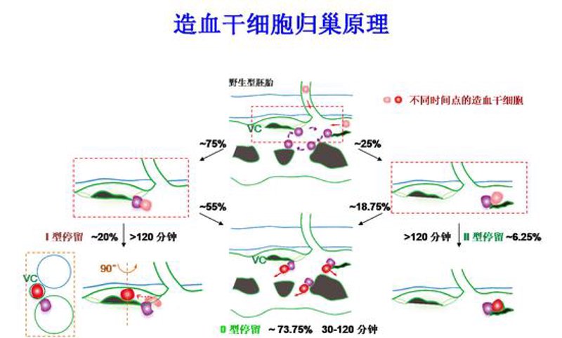红十字,人间救助之光——防城港篇