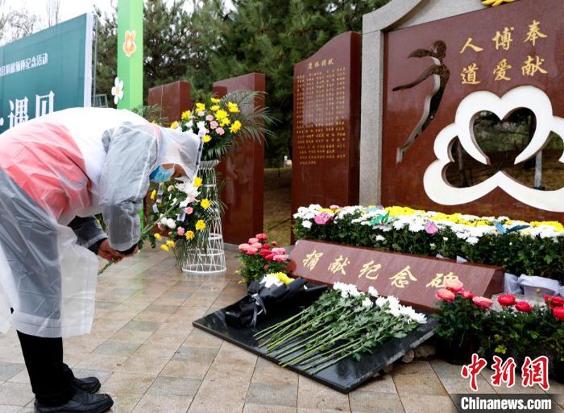 传递爱与希望：无偿献血让城市更有温度