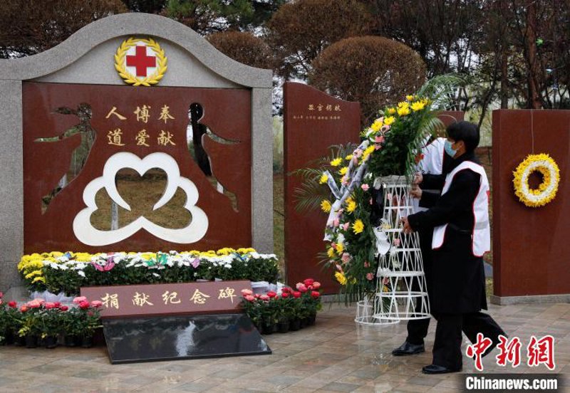 红十字会：守护生命的温暖之手