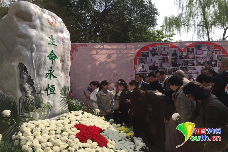 救援的力量：红十字会的使命与行动