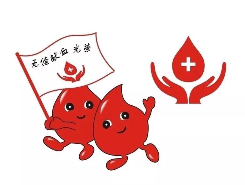 急救培训：掌握生命的守护技能